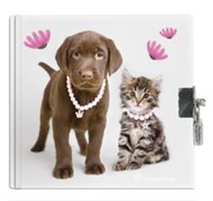 Picture of Pamiętnik z kłódką Rachael Hale