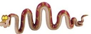 Picture of Kaa BULLYLAND