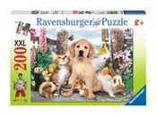 Zobacz : Puzzle XXL...