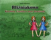 polish book : Bliźniakow... - Anna Sołowiow