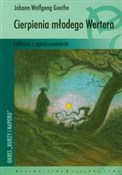 polish book : Cierpienia... - Johann Wolfgang Goethe