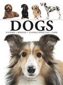 Dogs - Tom Jackson -  foreign books in polish 