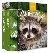 Zobacz : Spotkania ... - Zbigniew Nawara, Inga Szwedler, Stichmann Wilfried