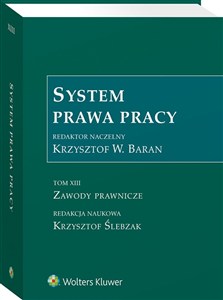 Obrazek System Prawa Pracy Tom XIII