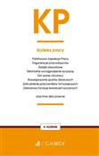 Polska książka : Kodeks pra... - Opracowanie Zbiorowe