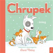 polish book : Chrupek i ... - David Melling
