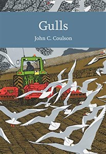 Obrazek Gulls (The New Naturalist Library, Band 139)