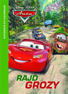 Picture of Auta Rajd grozy