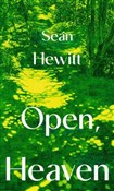 Polska książka : Open, Heav... - Sean Hewitt