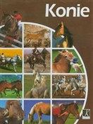 polish book : Konie - Maria Kulisa, Magdalena Pieszka, Jarosław Łuszczyński