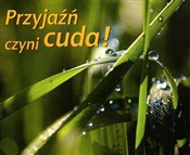 Polska książka : Przyjaźń c... - Opracowanie Zbiorowe