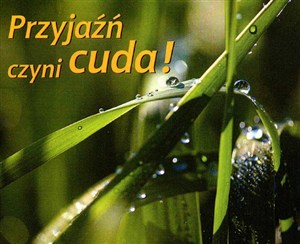 Picture of Przyjaźń czyni cuda perełki