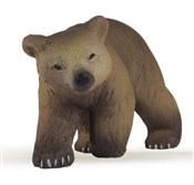 Polska książka : Niedźwiedź...