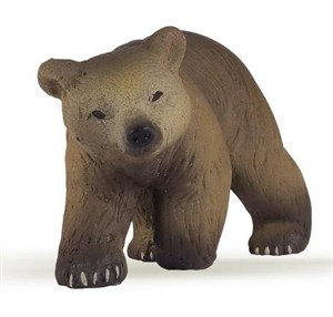 Picture of Niedźwiedź pirenejski młody