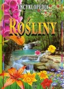 Rośliny - Opracowanie Zbiorowe -  foreign books in polish 
