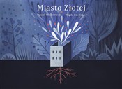 polish book : Miasto Zło... - Daniel Chmielewski