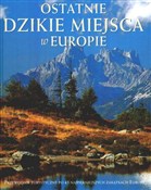 polish book : Ostatnie d... - Dwight Holing