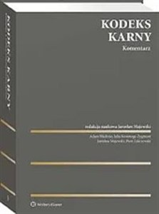 Picture of Kodeks karny Komentarz