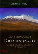 Moja przyg... - Anna Siwek -  foreign books in polish 