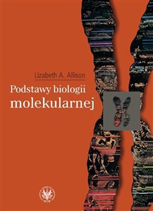 Obrazek Podstawy biologii molekularnej