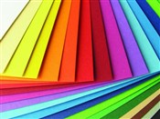 Książka : Karton B1 ...