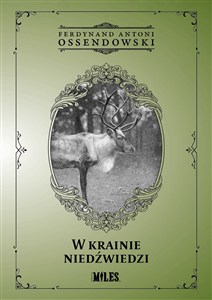 Obrazek W krainie niedźwiedzi