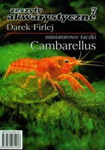 Obrazek Miniaturowe raczki Cambarellus 7