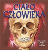 Zobacz : Ciało czło... - Sue Harris