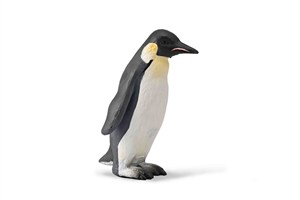 Obrazek Pingwin królewski