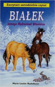 Picture of Białek pomaga Mędrusiowi Wiewiórce Tom 7 Zaczynam samodzielnie czytać