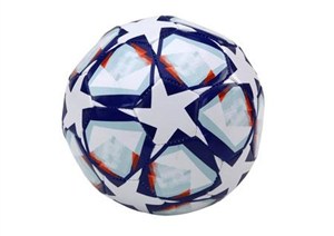 Obrazek Piłka rozm5 24cm