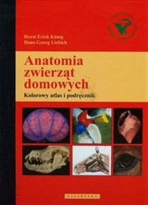 Picture of Anatomia zwierząt domowych Kolorowy atlas i podręcznik