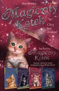 Obrazek Chcę być sławna / Podwójne kłopoty / Letni czar / Kłopoty w szkole pakiet