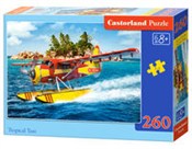 Książka : Puzzle 260...