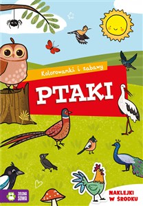 Obrazek Kolorowanki i zabawy Ptaki