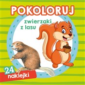 Pokoloruj ... - Andrzej Kłapyta, Dorota Krassowska -  Polish Bookstore 