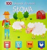 polish book : 100 okiene...