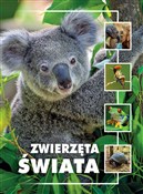 Polska książka : Zwierzęta ... - Kamila Twardowska, Jacek Twardowski, Agnieszka Czujkowska