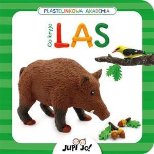 Obrazek Plastelinkowa akademia Co kryje las?