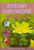 Rośliny ch... - Izabella Sieńko-Holewa -  Książka z wysyłką do UK