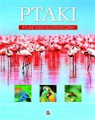 Ptaki Atla... - Anna Przybyłowicz, Łukasz Przybyłowicz -  foreign books in polish 