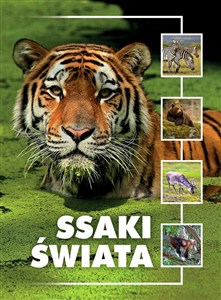 Obrazek Ssaki świata