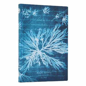 Picture of Notatnik Sea Flowers Mini linia