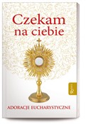 Zobacz : Czekam na ... - s. Bożena Maria Hanusiak