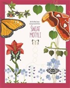 Świat moty... - Rita Mabel Schiavo, Giulia De Amicis (ilustr.) -  Polish Bookstore 