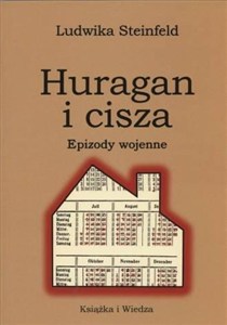 Obrazek Huragan i cisza. Epizody wojenne