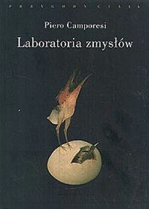 Obrazek Laboratoria zmysłów