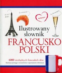 Obrazek Ilustrowany słownik francusko-polski