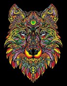 polish book : Kolorowank...