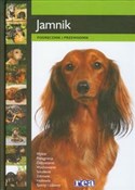 Książka : Jamnik pod...